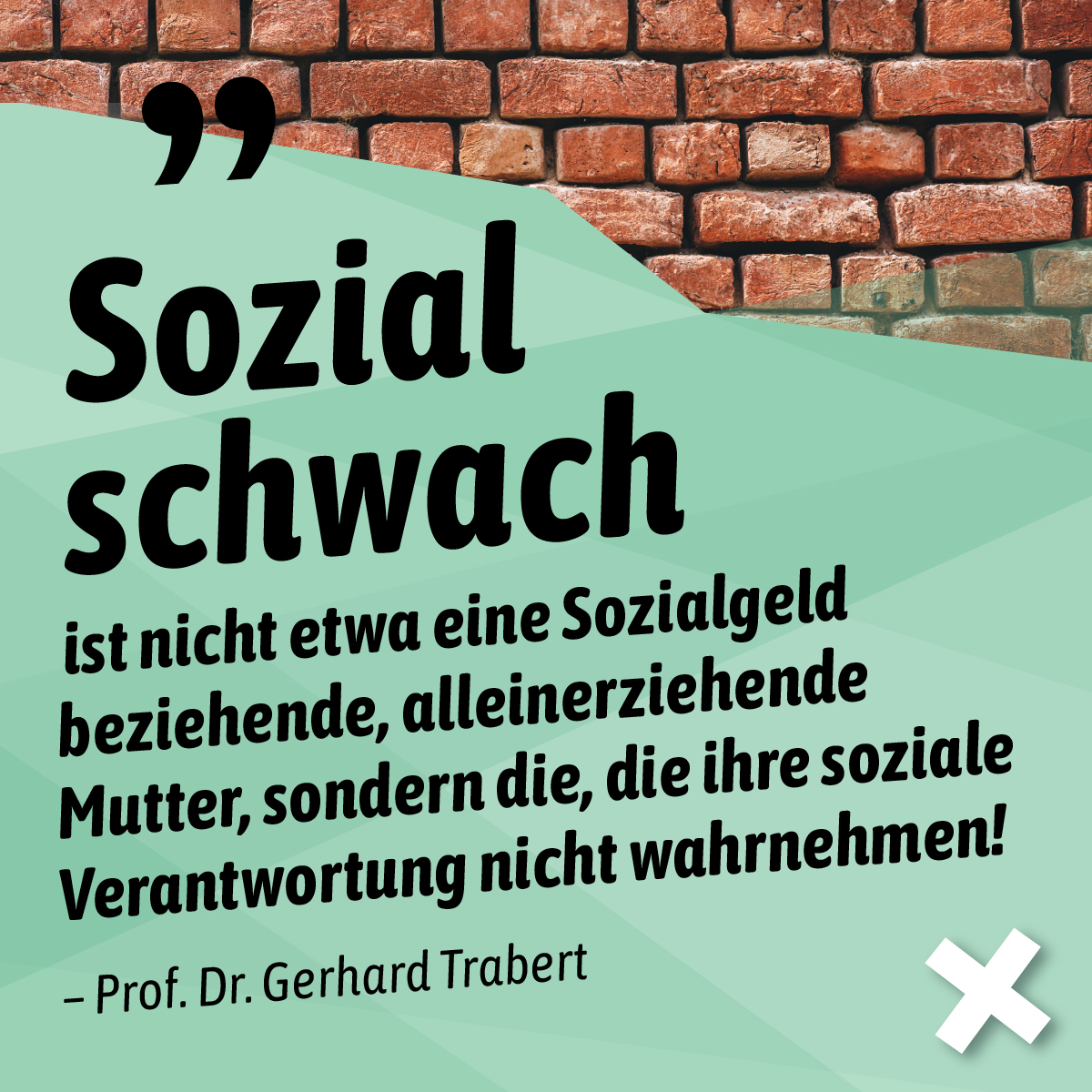 Stellungnahme von Prof. Dr. Trabert zum Umgang mit Sprache.